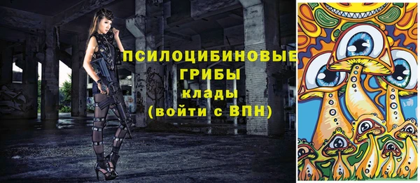 COCAINE Богородицк