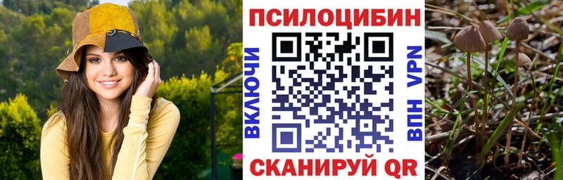 Псилоцибиновые грибы MAGIC MUSHROOMS  купить закладку  мориарти клад  Тулун 